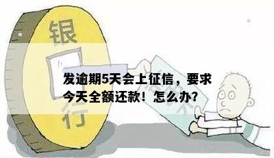 发逾期5天会上征信，要求今天全额还款！怎么办？