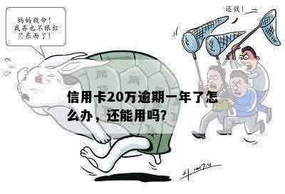 信用卡20万逾期一年了怎么办，还能用吗？