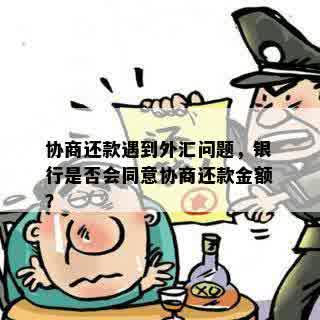 协商还款遇到外汇问题，银行是否会同意协商还款金额？