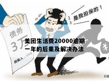 美团生活费20000逾期一年的后果及解决办法