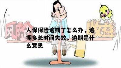 人保保险逾期了怎么办，逾期多长时间失效，逾期是什么意思