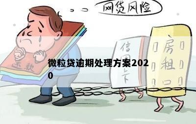 微粒贷逾期处理方案2020