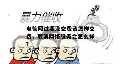 电信网过期没交费该怎样交费，取消网络服务会怎么样？