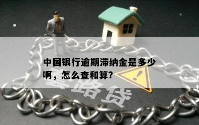 中国银行逾期滞纳金是多少啊，怎么查和算？