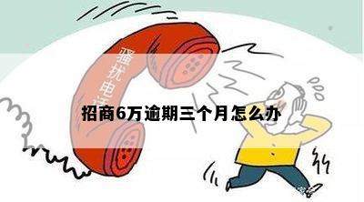 招商6万逾期三个月怎么办