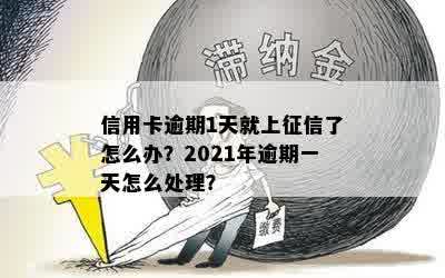 信用卡逾期1天就上征信了怎么办？2021年逾期一天怎么处理？