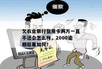 欠农业银行信用卡两万一直不还会怎么样，2000逾期后果如何？