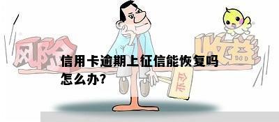 信用卡逾期上征信能恢复吗怎么办？