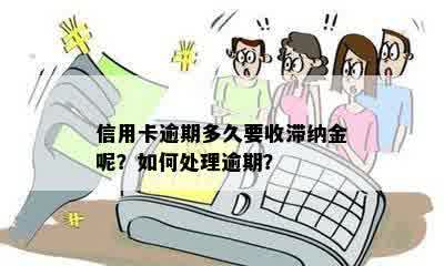 信用卡逾期多久要收滞纳金呢？如何处理逾期？