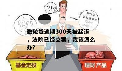 微粒贷逾期300天被起诉，法院已经立案，我该怎么办？