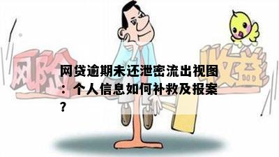 网贷逾期未还泄密流出视图：个人信息如何补救及报案？