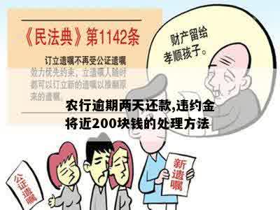 农行逾期两天还款,违约金将近200块钱的处理方法