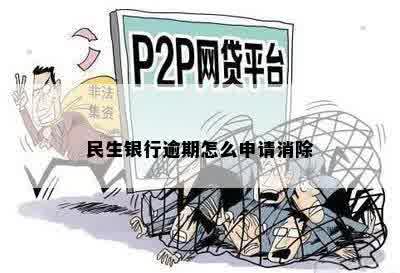 民生银行逾期怎么申请消除