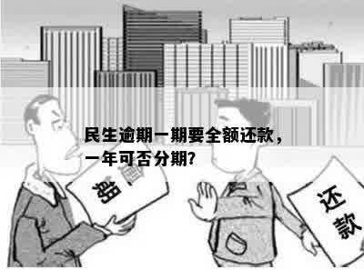 民生逾期一期要全额还款，一年可否分期？