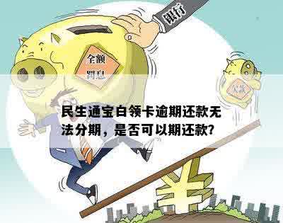 民生通宝白领卡逾期还款无法分期，是否可以期还款？