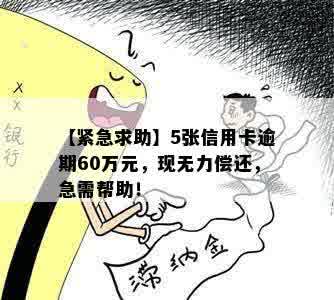 【紧急求助】5张信用卡逾期60万元，现无力偿还，急需帮助！