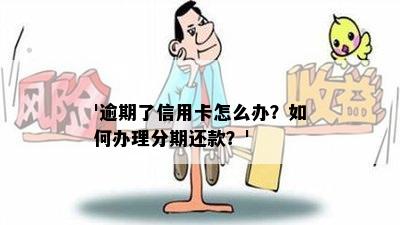 '逾期了信用卡怎么办？如何办理分期还款？'