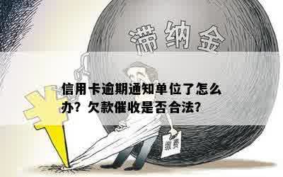 信用卡逾期通知单位了怎么办？欠款催收是否合法？