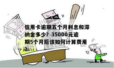 信用卡逾期五个月利息和滞纳金多少？35000元逾期5个月后该如何计算费用？