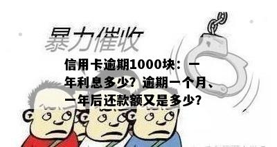 信用卡逾期1000块：一年利息多少？逾期一个月、一年后还款额又是多少？