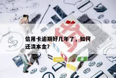 信用卡逾期好几年了，如何还清本金？