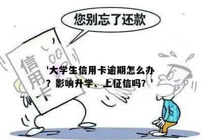 '大学生信用卡逾期怎么办？影响升学、上征信吗？'