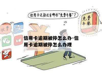 信用卡逾期被停怎么办-信用卡逾期被停怎么办理