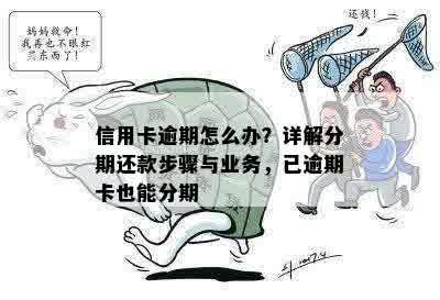 信用卡逾期怎么办？详解分期还款步骤与业务，已逾期卡也能分期