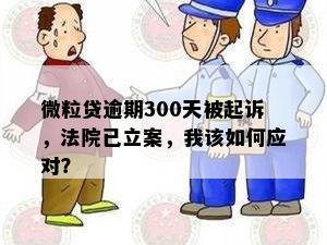 微粒贷逾期300天被起诉，法院已立案，我该如何应对？