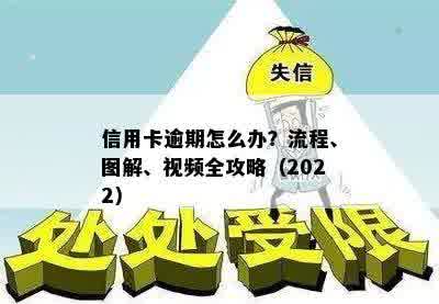 信用卡逾期怎么办？流程、图解、视频全攻略（2022）