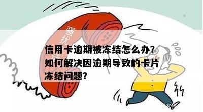 信用卡逾期被冻结怎么办？如何解决因逾期导致的卡片冻结问题？