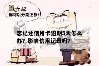 忘记还信用卡逾期5天怎么办？影响信用记录吗？