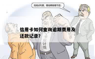 信用卡如何查询逾期费用及还款记录？