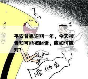 平安普惠逾期一年，今天被告知可能被起诉，应如何应对？