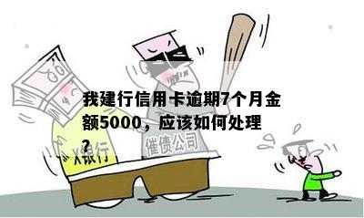 我建行信用卡逾期7个月金额5000，应该如何处理？