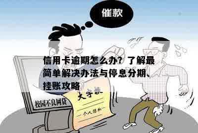 信用卡逾期怎么办？了解最简单解决办法与停息分期、挂账攻略