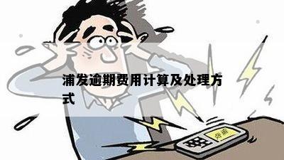 浦发逾期费用计算及处理方式