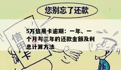 5万信用卡逾期：一年、一个月与三年的还款金额及利息计算方法