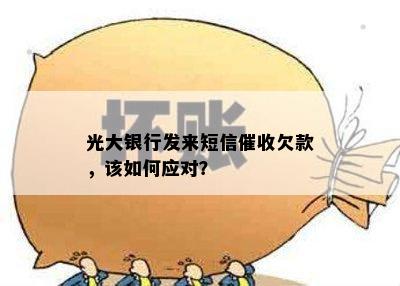 光大银行发来短信催收欠款，该如何应对？