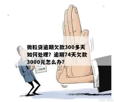 微粒贷逾期欠款300多天如何处理？逾期74天欠款3000元怎么办？