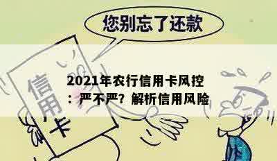 2021年农行信用卡风控：严不严？解析信用风险