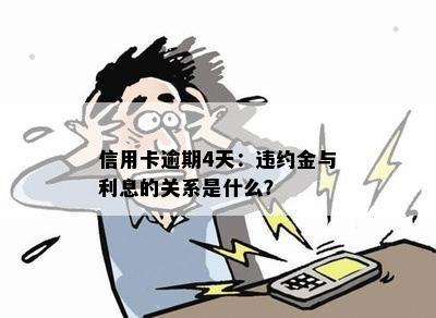 信用卡逾期4天：违约金与利息的关系是什么？