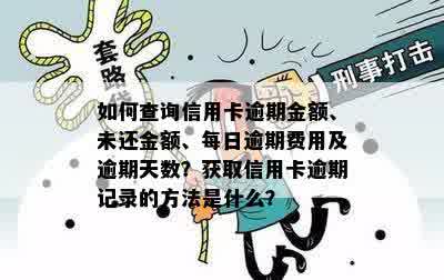 如何查询信用卡逾期金额、未还金额、每日逾期费用及逾期天数？获取信用卡逾期记录的方法是什么？