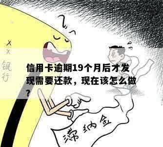 信用卡逾期19个月后才发现需要还款，现在该怎么做？