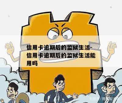 信用卡逾期后的监狱生活-信用卡逾期后的监狱生活能用吗