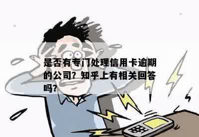 是否有专门处理信用卡逾期的公司？知乎上有相关回答吗？