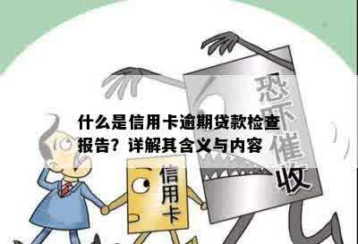 什么是信用卡逾期贷款检查报告？详解其含义与内容