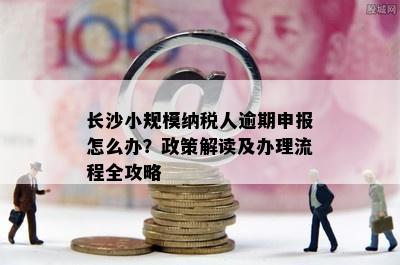 长沙小规模纳税人逾期申报怎么办？政策解读及办理流程全攻略