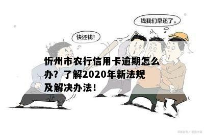 忻州市农行信用卡逾期怎么办？了解2020年新法规及解决办法！