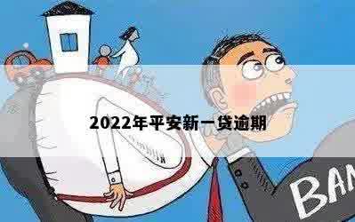 2022年平安新一贷逾期